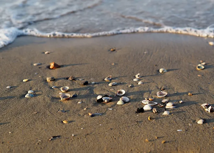 Colourful Flat With A Fenced Garden And Fireplace * Bibione